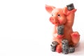 coins with Pig