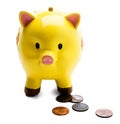 Coins With Piggy Bank