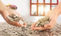 Coins placed on top. While  hand pouring coins Royalty Free Stock Photo