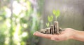 Coins placed on top. While a men`s hand pouring coins Royalty Free Stock Photo