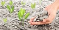 Coins placed on top. While  men hand pouring coins Royalty Free Stock Photo