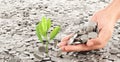 Coins placed on top. While a men`s hand pouring coins Royalty Free Stock Photo