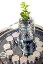 Coins with plant and clock, isolated on white background. savings concept Royalty Free Stock Photo