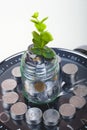 Coins with plant and clock, isolated on white background. savings concept Royalty Free Stock Photo