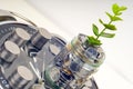 Coins with plant and clock, isolated on white background. savings concept Royalty Free Stock Photo