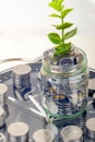 Coins with plant and clock, isolated on white background. savings concept Royalty Free Stock Photo