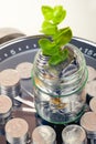 Coins with plant and clock, isolated on white background. savings concept Royalty Free Stock Photo