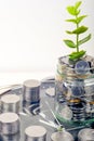 Coins with plant and clock, isolated on white background. savings concept Royalty Free Stock Photo