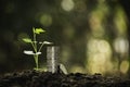 Hand of person holding soil and with coins,plant on nature background