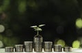 Coins with plant on top put in the soil concept and garden green background Royalty Free Stock Photo