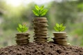 Coins with plant on top put in the soil concept and garden green Royalty Free Stock Photo