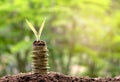 Coins with plant on top put in the soil concept and garden green Royalty Free Stock Photo