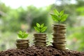 Coins with plant on top put in the soil concept and garden green Royalty Free Stock Photo