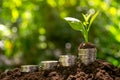 Coins with plant on top put on the soil in green nature background for business growth concept. Royalty Free Stock Photo