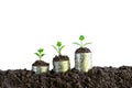 coins with plant on top put on the soil for saving,finance concept on isolated background. Royalty Free Stock Photo