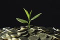 Coins with plant on top put on table concept on dark background Royalty Free Stock Photo