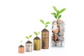 Coins and plants are planted on a pile of coins. Ideas for investment finance Banking business growth, savings and productivity on