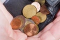 Coins poured from the wallet in hand palm close-up Royalty Free Stock Photo