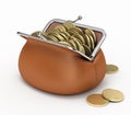 Coins in purse. Royalty Free Stock Photo