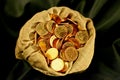 Coins sack
