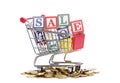 Coins, shopping cart and word SALE