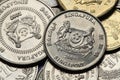 Coins of Singapore Royalty Free Stock Photo