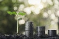 Coins and small tree concept put on the soil under green nature background Royalty Free Stock Photo