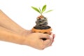 Coins in soil with young plant and human hand Royalty Free Stock Photo