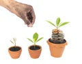 Coins in soil with young plant and human hand Royalty Free Stock Photo