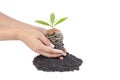 Coins in soil with young plant and human hand Royalty Free Stock Photo