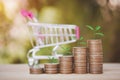 Coins stack of money and plant growing up on top, a trolley show concept step for saving money and investment concept Royalty Free Stock Photo