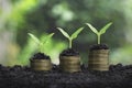 Coins stack with step growing plant and sunshine background. concept saving money Royalty Free Stock Photo