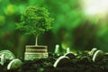 coins stack with step growing plant and sunshine background. concept saving money Royalty Free Stock Photo