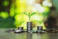 coins stack with step growing plant and sunshine background. concept saving money Royalty Free Stock Photo