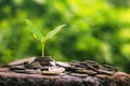 coins stack with step growing plant and sunshine background. concept saving money Royalty Free Stock Photo