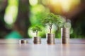 coins stack with step growing plant and sunshine background. concept saving money Royalty Free Stock Photo