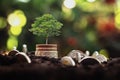 coins stack with step growing plant and sunshine background. concept saving money Royalty Free Stock Photo