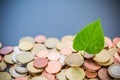 Coins stacked on each other, green leaf growing. Close up picture, money concept Royalty Free Stock Photo