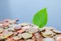 Coins stacked on each other, green leaf growing. Close up picture, money concept Royalty Free Stock Photo