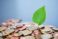 Coins stacked on each other, green leaf growing. Close up picture, money concept