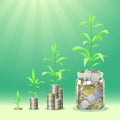 Coins stacks with a plants growing on the top. Royalty Free Stock Photo
