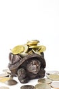 Coins and Wood Turtl Royalty Free Stock Photo