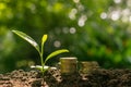 Coins and young plant growing on the soil for saving or nature c Royalty Free Stock Photo