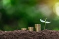 Coins and young plant growing on the soil for saving or nature concept on nature background Royalty Free Stock Photo