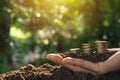 Coins and young plant growing on the soil for saving or nature c Royalty Free Stock Photo