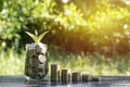 Coins and young plant growing on the soil for saving or nature c Royalty Free Stock Photo