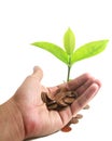 Coins with young plant on human hand. Money growth concept Royalty Free Stock Photo