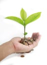 Coins with young plant on human hand. Money growth concept Royalty Free Stock Photo