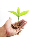 Coins with young plant on human hand. Money growth concept Royalty Free Stock Photo