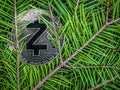 Coins of zcash on the branches of spruce. Christmas crypto gift.